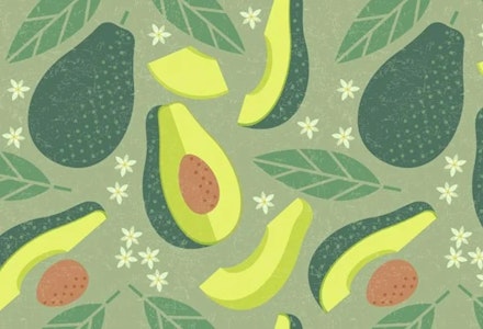 16-weeks-pregnant-baby-size-avocado avocado