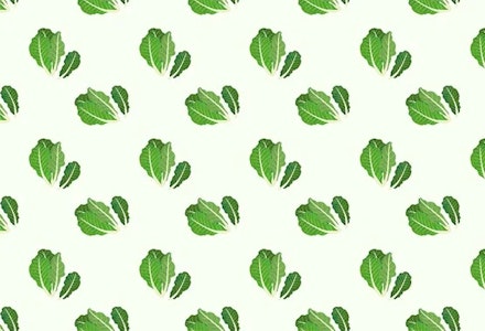 37-weeks-pregnant-baby-size-romaine-lettuce 37-weeks-pregnant-baby-size-romaine-lettuce