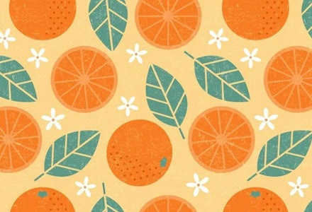 15-weeks-pregnant-baby-size-orange