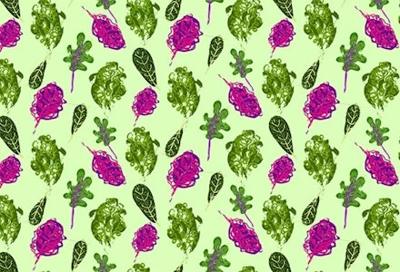 26-weeks-pregnant-baby-size-kale