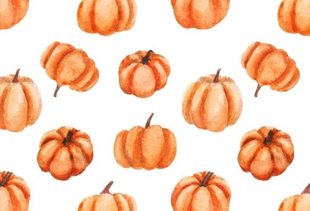 39-weeks-pregnant-baby-size-pumpkin_w555_h555