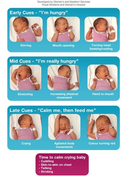 baby-feeding-cues