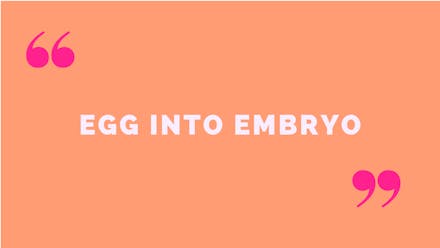 1) Egg into an embryo egg into embryo in quotation marks