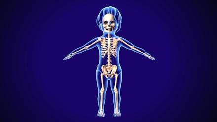1) Spine and limbs Image of baby's spine and body