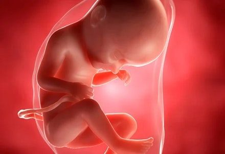 week33