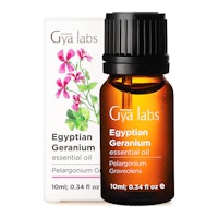 Geranium