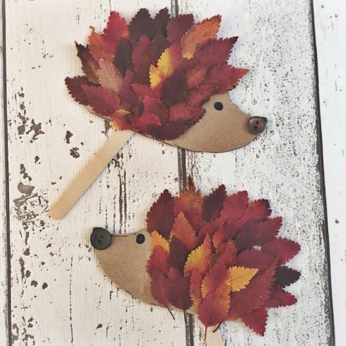 hedgehog-art