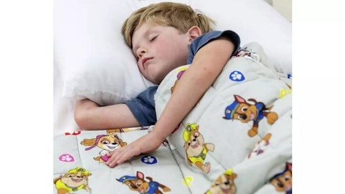 paw patrol weighted blanket