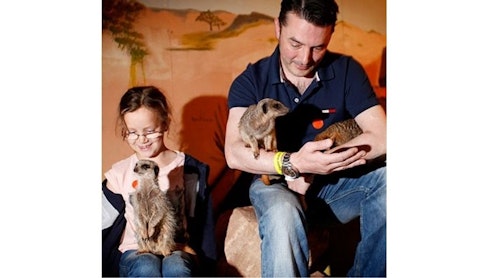2 for 1 Meet The Meerkats Experience