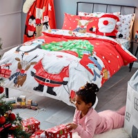 Christmas Santa And Friends duvet set