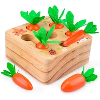 Dream Fun Wooden Montessori Toys for Baby Toddlers Fine Motor Skill Toy