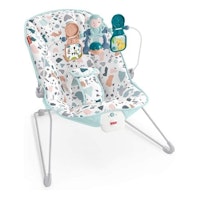 Fisher-Price Baby's Bouncer Soothing Seat