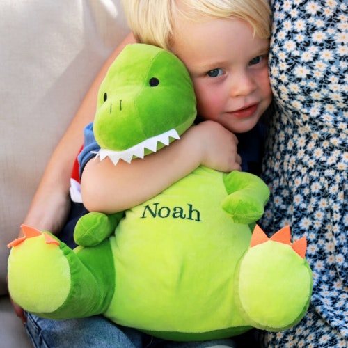 Personalised Dinosaur Toy