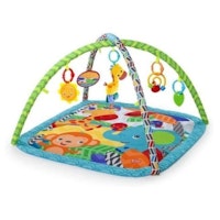 Bright Starts Zippy Zoo Activity Gym