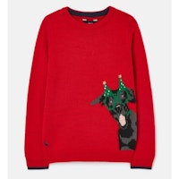 The Cracking Novelty Intarsia Festive Dog Jumper