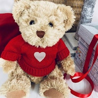 Valentine’s Day Teddy Bear