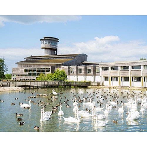 slimbridge wetlands centre
