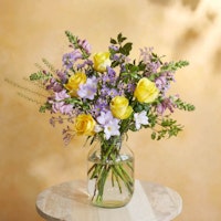 Bloom & Wild The Amelie Letterbox Flowers