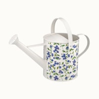 Forget Me Not Outdoor Watering Can