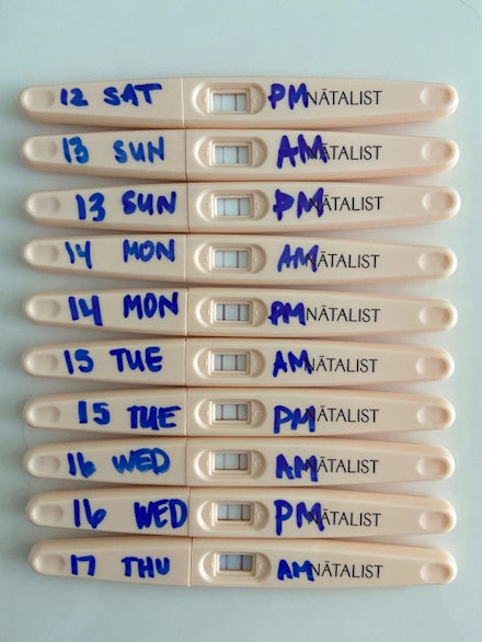 positive ovulation test example 3 natalist positive ovulation test example 3 natalist