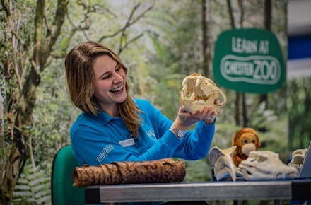 Chester-Zoo-1