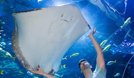 blue-planet-aquarium