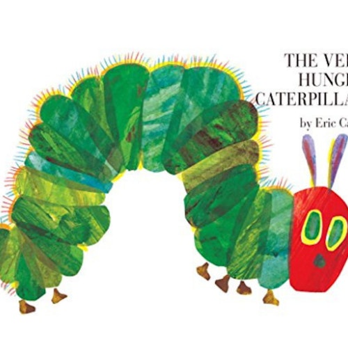 board books for babies