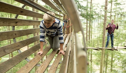 go-ape-delamere
