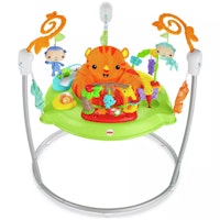 Fisher-Price Roarin' Rainforest Jumperoo