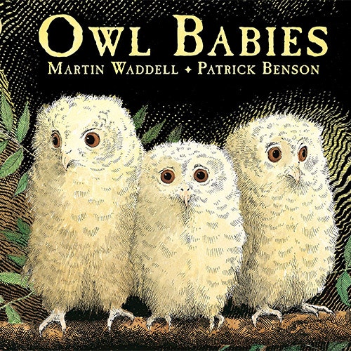 Owl Babies baby book