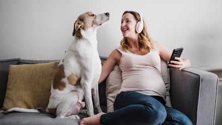 dog-pregnant-woman