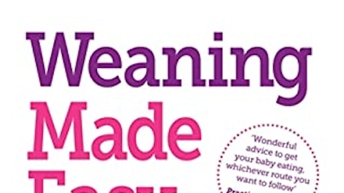 Weaning Made Easy by Dr Rana Conway