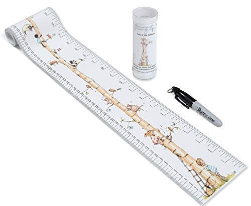 Portable, Roll-up Height Chart