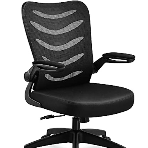 Office Desk Chair with Armrests