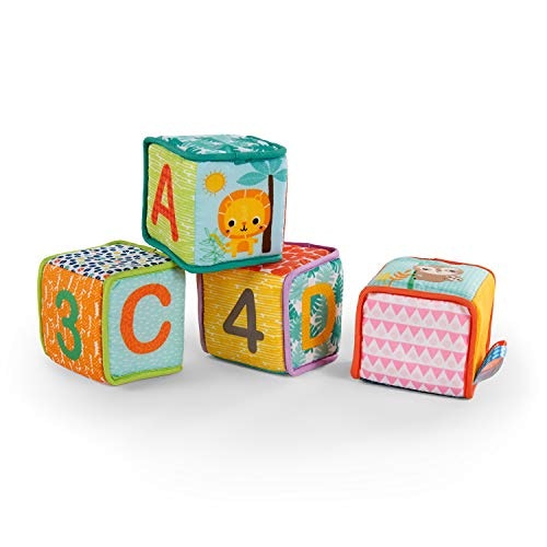 Bright Starts Grab and Stack Blocks