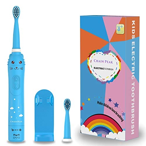 Rechargeable Sonic Toothbrush
