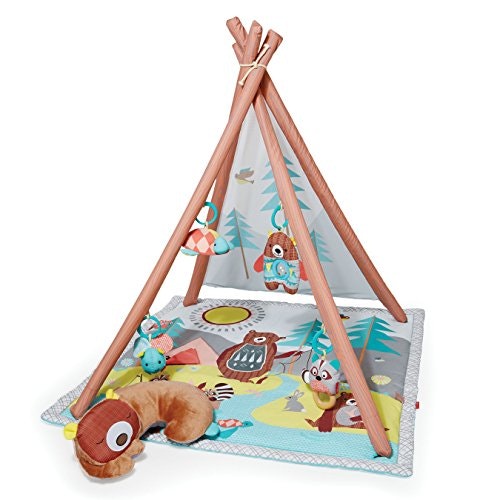 Skip Hop Activity Gym