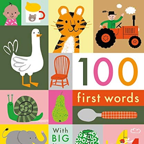 100 First Words: With BIG flaps to lift!