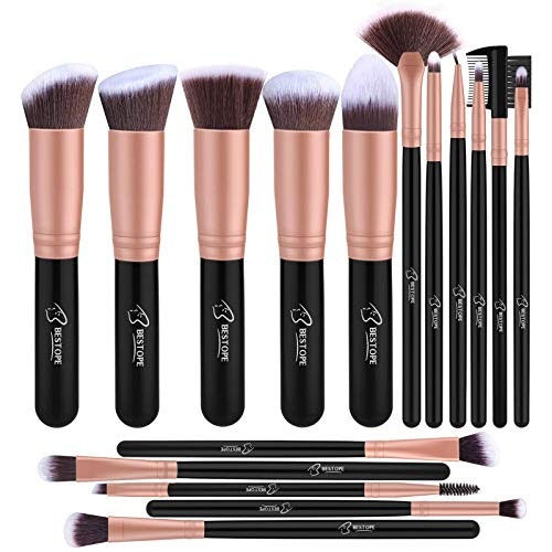 Professional 16-Piece Make Up Brush set