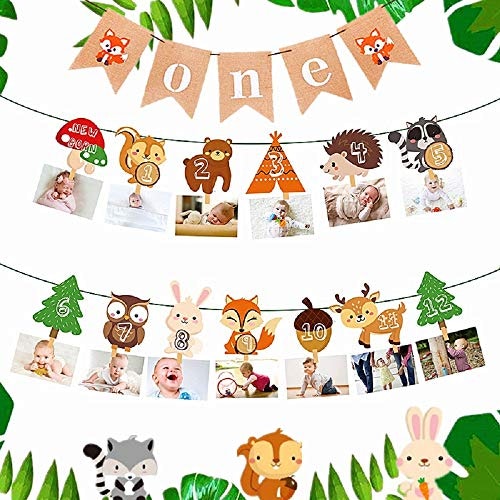Woodland First Year Photo Banner