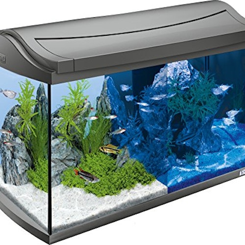 Tetra AquaArt LED Aquarium Complete Set