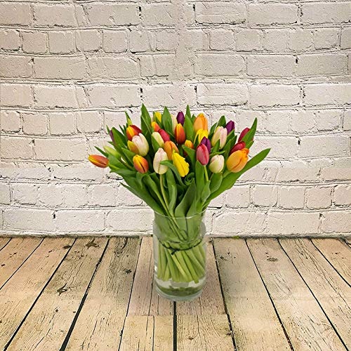All Occasions Tulip Selection