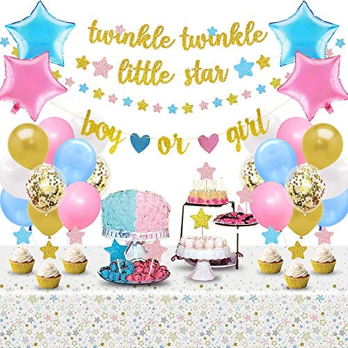 Twinkle Twinkle Little Star gender reveal party supplies