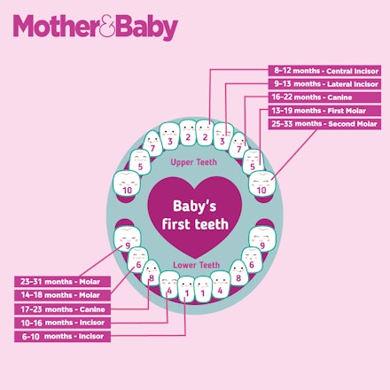baby teeth insta 1