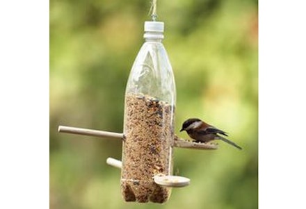 bird feeder