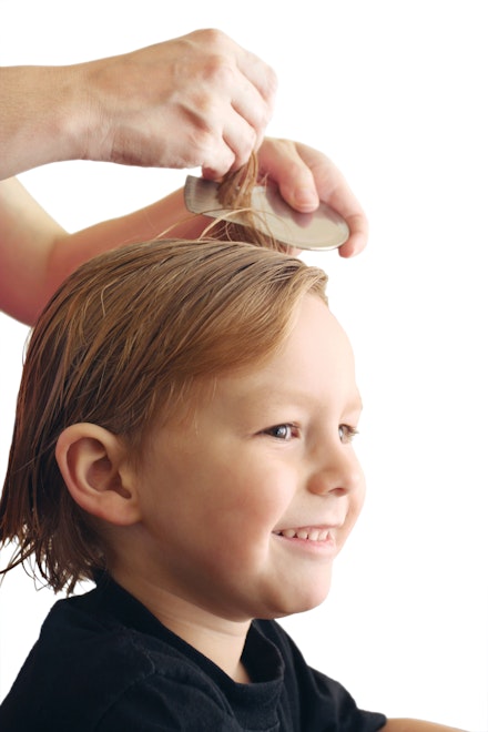boy getting nits treated