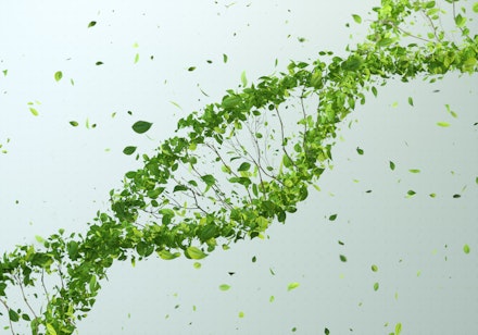 dna stock image