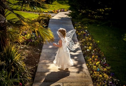 fairy dress up