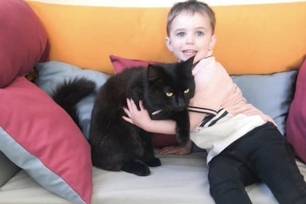 mokee sofa