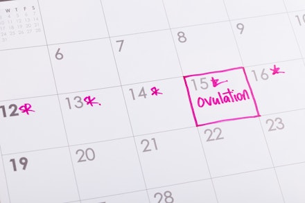 ovulation calendar